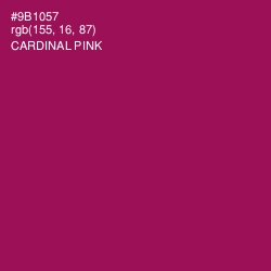 #9B1057 - Cardinal Pink Color Image