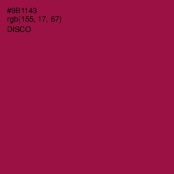 #9B1143 - Disco Color Image