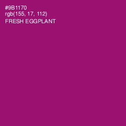#9B1170 - Fresh Eggplant Color Image