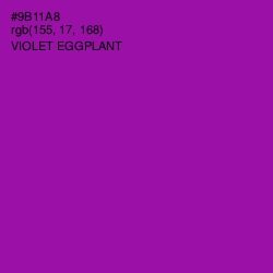 #9B11A8 - Violet Eggplant Color Image