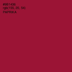 #9B1436 - Paprika Color Image