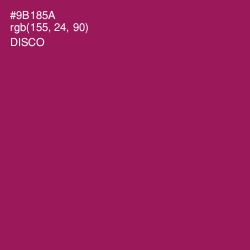 #9B185A - Disco Color Image