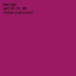 #9B1862 - Fresh Eggplant Color Image