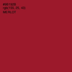 #9B192B - Merlot Color Image