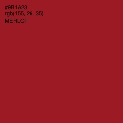 #9B1A23 - Merlot Color Image