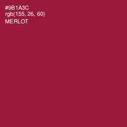 #9B1A3C - Merlot Color Image