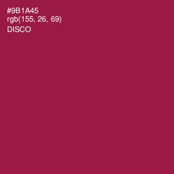 #9B1A45 - Disco Color Image