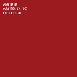 #9B1B1E - Old Brick Color Image