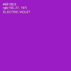 #9B1BC5 - Electric Violet Color Image