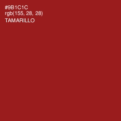 #9B1C1C - Tamarillo Color Image