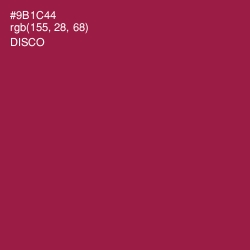 #9B1C44 - Disco Color Image