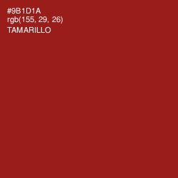 #9B1D1A - Tamarillo Color Image