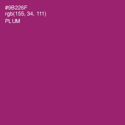 #9B226F - Plum Color Image