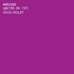 #9B2289 - Vivid Violet Color Image
