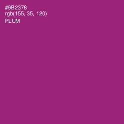 #9B2378 - Plum Color Image