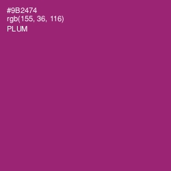 #9B2474 - Plum Color Image