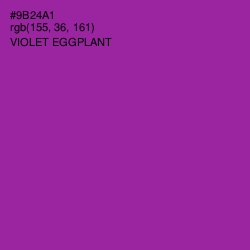 #9B24A1 - Violet Eggplant Color Image