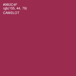 #9B2C4F - Camelot Color Image