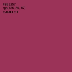 #9B3257 - Camelot Color Image