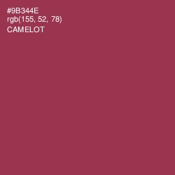 #9B344E - Camelot Color Image