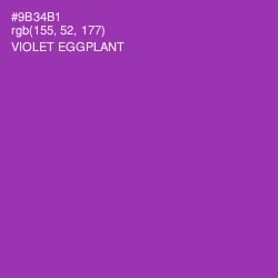 #9B34B1 - Violet Eggplant Color Image