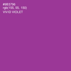 #9B3796 - Vivid Violet Color Image
