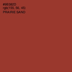 #9B382D - Prairie Sand Color Image