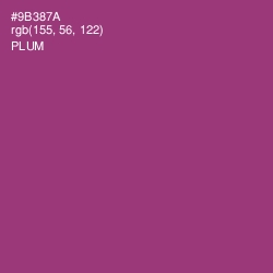 #9B387A - Plum Color Image