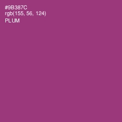 #9B387C - Plum Color Image