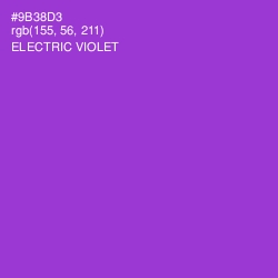 #9B38D3 - Electric Violet Color Image