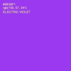 #9B39F1 - Electric Violet Color Image
