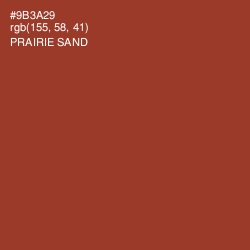 #9B3A29 - Prairie Sand Color Image