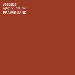 #9B3B25 - Prairie Sand Color Image