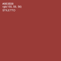 #9B3B38 - Stiletto Color Image