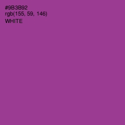 #9B3B92 - Vivid Violet Color Image