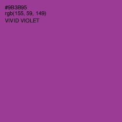 #9B3B95 - Vivid Violet Color Image