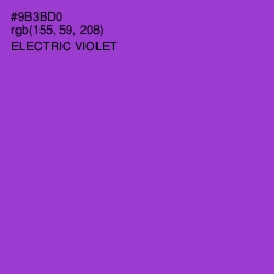 #9B3BD0 - Electric Violet Color Image