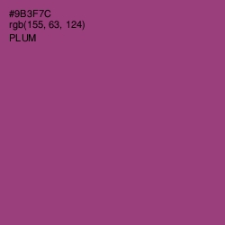 #9B3F7C - Plum Color Image