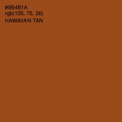 #9B4B1A - Hawaiian Tan Color Image