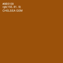 #9B5109 - Chelsea Gem Color Image