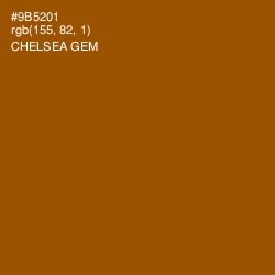 #9B5201 - Chelsea Gem Color Image