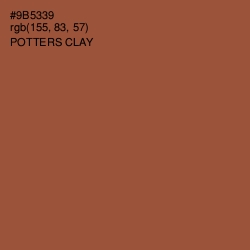 #9B5339 - Potters Clay Color Image