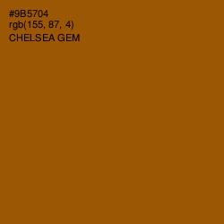 #9B5704 - Chelsea Gem Color Image