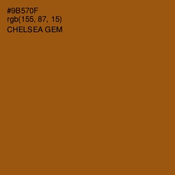 #9B570F - Chelsea Gem Color Image