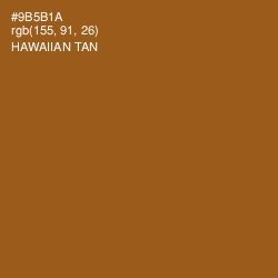 #9B5B1A - Hawaiian Tan Color Image