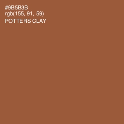 #9B5B3B - Potters Clay Color Image