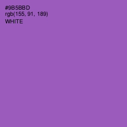 #9B5BBD - Wisteria Color Image