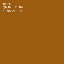 #9B5C10 - Hawaiian Tan Color Image
