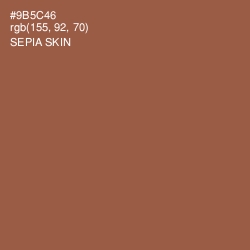 #9B5C46 - Sepia Skin Color Image