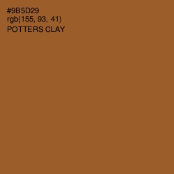 #9B5D29 - Potters Clay Color Image